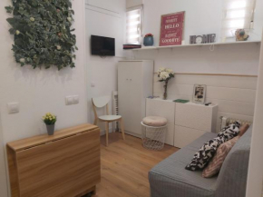 APARTAMENTO JUNTO ESTACION ATOCHA